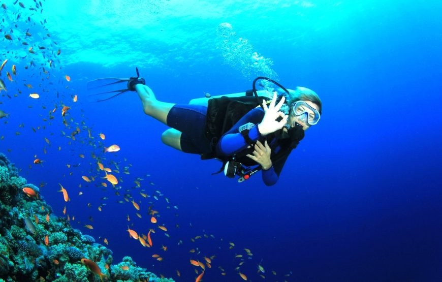 Scuba Diving at GOA