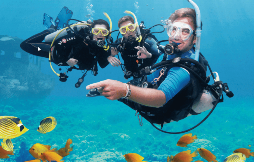 3 Nihgt GOA Tour Package