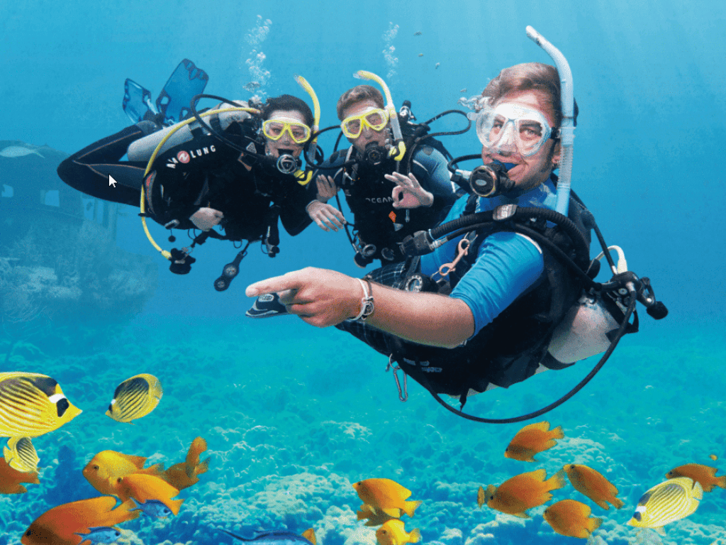 Scuba Diving