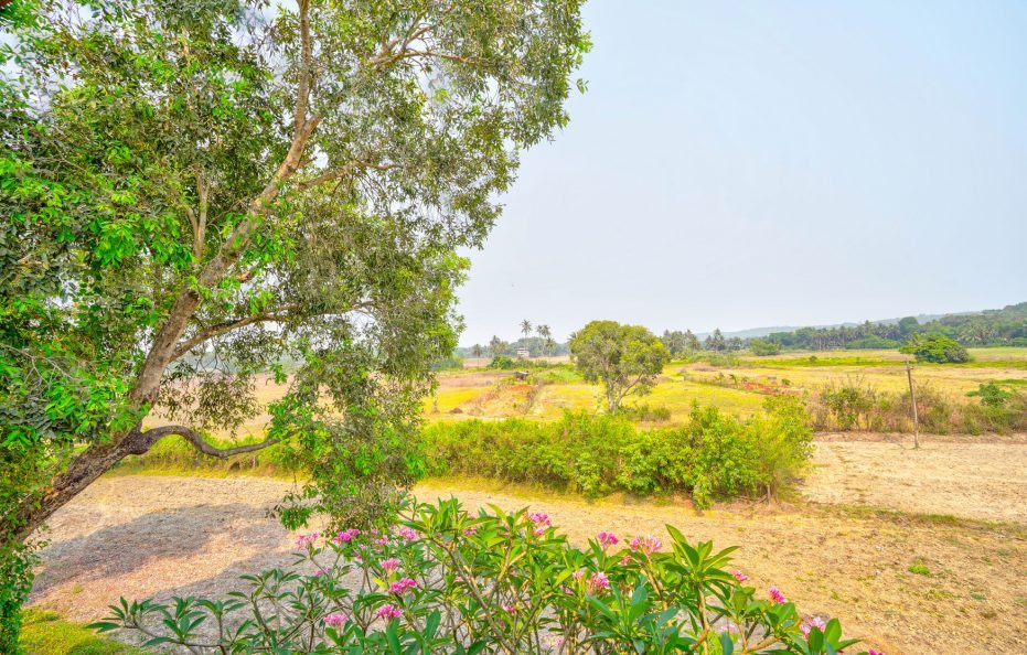 Couple Friendly Room in Casa De Village GOA
