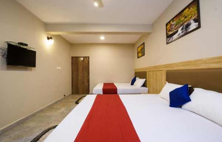 Bachelor Tour Packages for 4 Person