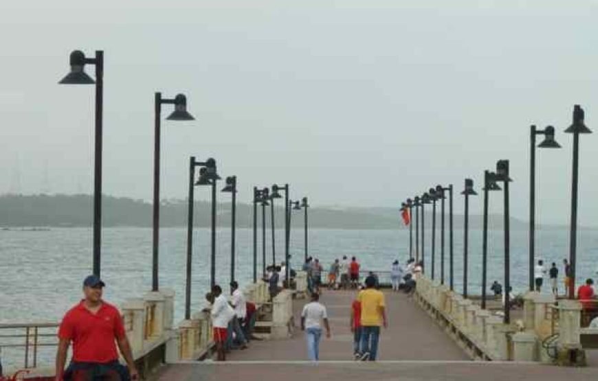 GOA GROUP TOUR PACKAGE – 54 PEOPLE