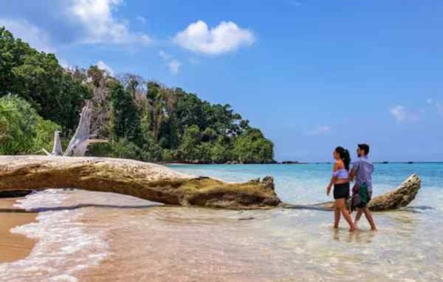 GOA GROUP TOUR PACKAGE – 54 PEOPLE