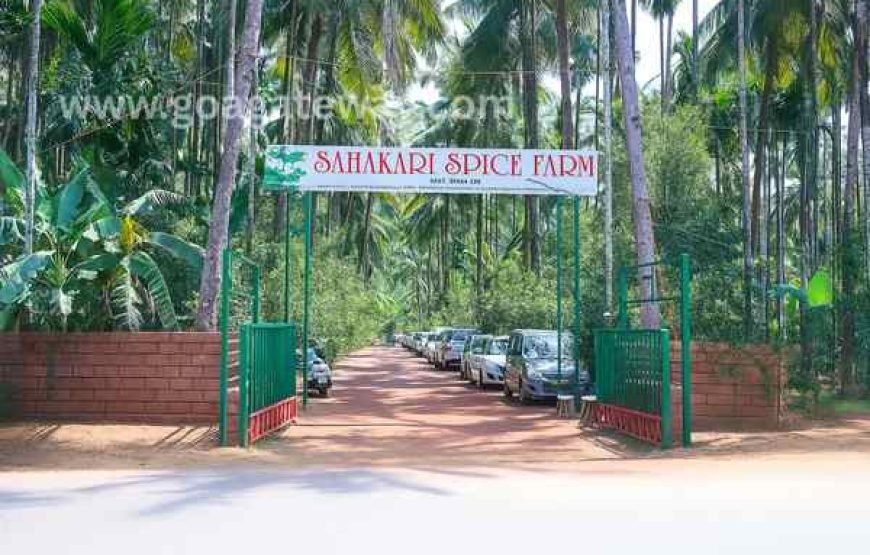 Spice Plantation Tours: Sahakari Spice Farm (Ponda)