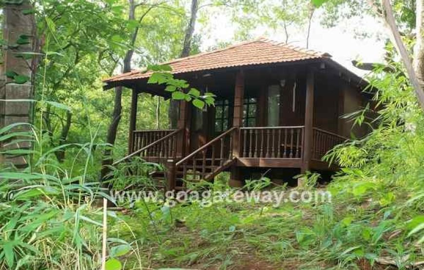 Spice Plantation Tours: Sahakari Spice Farm (Ponda)