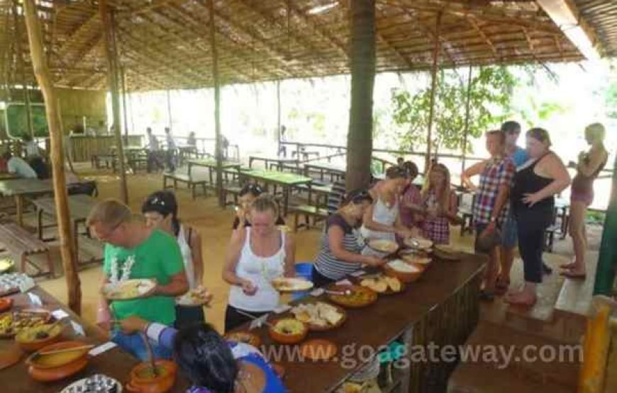 Spice Plantation Tours: Sahakari Spice Farm (Ponda)